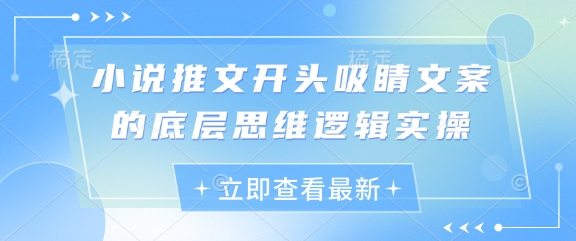 小说推文开头吸睛文案的底层思维逻辑实操-一尺涵知